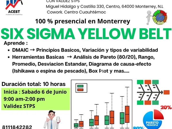 Six Sigma Yellow Monterrey