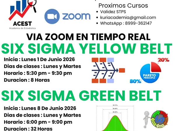 Six Sigma Zoom